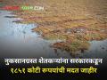 गारपिटीने नुकसान झालेल्या शेतकऱ्यांना सरकारकडून १८५१ कोटी रूपयांची मदत जाहीर - Marathi News | maharashtra government announced aid 1851 crores rupees farmers affected by hail | Latest agriculture News at Lokmat.com