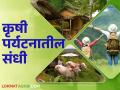 धकाधकीच्या जीवनात हा शेतीपूरक व्यवसाय कमवून देईल बक्कळ पैसे; वाचा सविस्तर - Marathi News | This complementary business will earn you a lot of money in a busy life; Read in detail | Latest agriculture News at Lokmat.com