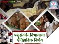 पशुसंवर्धन विभागात ५५० अधिकाऱ्यांच्या समुपदेशनाने बदल्या; हा पॅटर्न कायम ठेवणार - Marathi News | 550 officers transferred through counseling in Animal Husbandry Department; This pattern will be maintained | Latest agriculture News at Lokmat.com