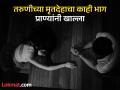 विवाहित तरुणी प्रियकरासोबत घरातून गायब; १० दिवसांनी भयंकर अवस्थेत आढळला दोघांचाही मृतदेह - Marathi News | Married woman goes missing from home with boyfriend their bodies found 10 days later | Latest ahilyanagar News at Lokmat.com