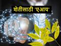 किकुलॉजी: एआयचे तंत्र अन् शेतीत पैशांच्या पावसाचा जादूमंत्र - Marathi News | Kikulogy: how ai is effective and useful for Indian agriculture | Latest agriculture News at Lokmat.com