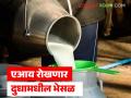Milk Adulteration : आता एआय रोखणार दुधामधील भेसळ, काय आहे हे तंत्रज्ञान, जाणून घ्या सविस्तर  - Marathi News | | Latest agriculture News at Lokmat.com