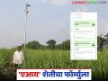 AI Sugarcane Farming : 'एआय' सांगते किती पाणी, किती वेळ; शेतकऱ्याला थेट मेलवर मिळतो शेती सल्ला - Marathi News | latest news AI Sugarcane Farming: 'AI' tells how much water, how much time; Farmers get farming advice directly via email | Latest agriculture News at Lokmat.com
