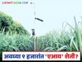AI Sugarcane Farming : ९ हजार भरा अन् ऊस उत्पादन वाढवा; 'एआय' शेतीचा फॉर्म्युला काय? वाचा सविस्तर - Marathi News | latest news AI Sugarcane Farming: Pay 9 thousand and increase sugarcane production; What is the formula of 'AI' farming? Read in detail | Latest agriculture News at Lokmat.com