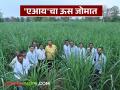 कोल्हापुरातील या शेतकऱ्याने 'एआय'द्वारे फुलविली कमी खर्चातील ऊस शेती - Marathi News | This farmer from Kolhapur has flourished low-cost sugarcane farming through AI | Latest agriculture News at Lokmat.com