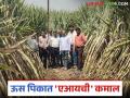 काय सांगताय! अवघ्या २९ मिनिटात भिजतेय १ एकर ऊस शेती; काय आहे तंत्रज्ञान? वाचा सविस्तर - Marathi News | What are you saying! 1 acre of sugarcane field is irrigated in just 29 minutes; what is the technique? Read in detail | Latest agriculture News at Lokmat.com