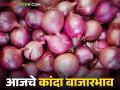 Kanda Bajarbhav : विधानसभा निकालाच्या दिवशी कांद्याला काय भाव मिळाला? वाचा सविस्तर - Marathi News | Latest News Kanda Bajarbhav see onion market price on vidhansabha election result day Read in detail | Latest agriculture News at Lokmat.com