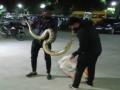 पिंपरीत घरात आढळला '१८ किलो' वजनाचा नऊ फुटी अजगर - Marathi News | A nine-foot python weighing '18 kg 'was found in a house in Pimpri | Latest pimpri-chinchwad News at Lokmat.com