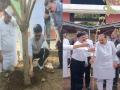 साताऱ्यात अजितदादांनी लावलेल्या झाडालाच अस्थींचे विसर्जन - Marathi News | Immersion of ashes in the tree planted by Ajit Pawar in Satara | Latest satara News at Lokmat.com