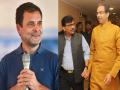 'राहुल गांधी हे सरळ अन् मोकळ्या मनाचे'; संजय राऊत यांनी भाजपावर साधला निशाणा - Marathi News | Shiv Sena leader Sanjay Raut has criticized the BJP on the issue of emergency | Latest mumbai News at Lokmat.com