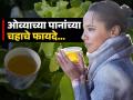थंडीत दुधाचा चहा विसरा, रोज प्या ओव्याच्या पानांचा चहा, पाहा कधी प्यावा आणि कसा कराल! - Marathi News | Amazing health benefits of ajwain leaves tea in winter | Latest sakhi News at Lokmat.com