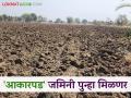 सरकारला २५ टक्के नजराणा भरून आकारपड जमिनी परत मिळणार; वाचा सविस्तर - Marathi News | The government will get back the acquired lands by paying 25 percent of the valued land price; Read in detail | Latest agriculture News at Lokmat.com
