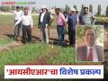 ICAR Resarch: दुप्पट उत्पन्न वाढीसाठी देशात 'आयसीएआर'चा विशेष प्रकल्प - Marathi News | ICAR Resarch : A special project of 'ICAR' in the country to double the income for farmer | Latest agriculture News at Lokmat.com