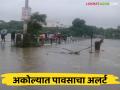 Market Yard : 'पावसाची शक्यता; शेतकऱ्यांनो ! 'शेतमालाची काळजी घ्या' - Marathi News | Market Yard : 'Chance of rain; Farmers! 'Take care of the farm products' | Latest agriculture News at Lokmat.com