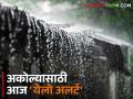 विदर्भाच्या हवामानात बदल; अकोल्यासाठी आज 'येलो अलर्ट' - Marathi News | Changes in Vidarbha's climate; 'Yellow Alert' for Akola today | Latest agriculture News at Lokmat.com