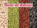 Seed Production : सोयाबीन, तूर, मूग, उडीद बीजोत्पादनात मोठी झेप; पंजाबराव देशमुख कृषी विद्यापीठ पुढे वाचा सविस्तर - Marathi News | latest news Seed Production: Big leap in soybean, tur, moong, urad seed production; Punjabrao Deshmukh Agricultural University Read more in detail | Latest agriculture News at Lokmat.com