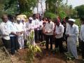 आईची रक्षा शेतात टाकून केले वृक्षारोपण - Marathi News | Plantation of mother's protection in the field | Latest ahilyanagar News at Lokmat.com