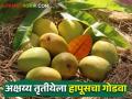 Mango Market अक्षय्य तृतीयेला मुंबई बाजार समितीत १ लाख हापूस पेट्यांची आवक - Marathi News | On Akshaya Tritiya, 1 lakh Hapus Mango Peti arrival in Mumbai market committee | Latest agriculture News at Lokmat.com