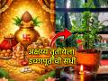 Akshaya Tritiya 2026: अक्षय्य तृतीयेला तुळशीचे 'नवे' रोप लावल्याने इच्छापूर्ती होते? काय आहे कारण? वाचा! - Marathi News | Akshaya Tritiya 2026: Does planting a new Tulsi plant on Akshaya Tritiya fulfill wishes? Know the reason and the scriptural rituals | Latest bhakti News at Lokmat.com