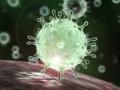 CoronaVirus : अकोट तालुक्यातून २४ संदिग्ध सर्वोपचारमध्ये! - Marathi News | CoronaVirus: 24 suspicious from Akot taluka in Hospital | Latest akola News at Lokmat.com