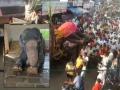 बेडकिहाळ येथील लोकप्रिय उषाराणी हत्तीचे निधन; अंत्यदर्शनासाठी गर्दीचा महापूर - Marathi News | Popular Usharani elephant in Bedkihal passes away; A deluge of crowds for the funeral | Latest kolhapur News at Lokmat.com