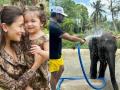 सुप्रसिद्ध अभिनेत्याने दत्तक घेतलेल्या हत्तीला दिलं आलिया भटच्या लेकीचं नाव, अभिनेत्रीने सांगितला खास किस्सा - Marathi News | Alia Bhatt revealed Ram Charan adopted an elephant in the name of her daughter Raha Kapoor | Latest filmy News at Lokmat.com