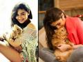लोकप्रियतेच्या बाबतीत जराही कमी नाहीयेत सेलिब्रिटींचे पेट्स - Marathi News | Bollywood celebrities and their cute pets | Latest filmy Photos at Lokmat.com