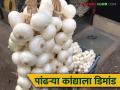 Alibag White Onion : अलिबाग पांढऱ्या कांद्याचा माळा लवकरच बाजारात येणार; यंदा कसा राहील दर? - Marathi News | Alibag White Onion: Alibag white onion garland will soon be available in the market; What will be the price this year? | Latest agriculture News at Lokmat.com
