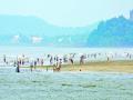 अलिबाग, मुरुड, श्रीवर्धन तालुक्यांमध्ये पर्यटक दाखल - Marathi News | Visiting tourist attractions in Alibaug, Murud and Shrivardhan talukas | Latest raigad News at Lokmat.com