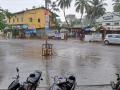 रायगड जिल्ह्यात सर्वत्र जोरदार पाऊस, पावसामुळे हवेत गारवा - Marathi News | Heavy rain everywhere in Raigad district dew in air due to rain | Latest raigad News at Lokmat.com
