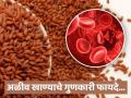 शरीरातील रक्ताची कमतरता दूर करेल अळीव; आजच करा सेवन, आजारही होतील गायब - Marathi News | health tips benefits of aliv seeds increase hemoglobin in body know what expert says | Latest health News at Lokmat.com