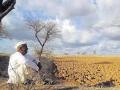 दुष्काळी मदत वाटपाचा मागितला लेखाजोखा! - Marathi News | Accounting for allocation of drought relief account! | Latest akola News at Lokmat.com