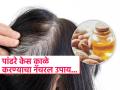 पांढऱ्या केसांमुळे वैतागलात? बदामाच्या तेलात 'ही' एक गोष्ट घालून लावा, मग बघा कमाल - Marathi News | Mix this thing in almond oil and use to make white hair black | Latest sakhi News at Lokmat.com