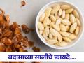 तुम्हीही बदामाची साल फेकता का? जाणून घ्या कसा करावा त्यांचा वापर... - Marathi News | Don't throw almond peel, here are some genius ways to reuse them | Latest health News at Lokmat.com