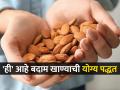 एका दिवसात किती बदाम खावेत, सकाळी रिकाम्या पोटी की रात्री... कोणती वेळ जास्त फायदेशीर? - Marathi News | health how many almonds one should eat in day right ways to eat | Latest sakhi News at Lokmat.com