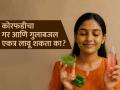 चेहऱ्यावर कोरफडीचा गर आणि गुलाबजल एकत्र लावू शकता का? पाहा काय मिळतात फायदे - Marathi News | Benefits of applying aloe vera gel and rose water on face together | Latest sakhi News at Lokmat.com
