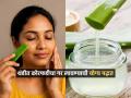 थंडीत चेहऱ्याला 'असा' लावा कोरफडीचा गर, हिवाळ्यात महागड्या प्रॉडक्ट्सची गरजच नाही - Marathi News | Winter Skin Care Tips : How to use aloe vera on face in winters season to get glow | Latest sakhi News at Lokmat.com