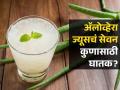 'या' समस्या असेल तर चुकूनही पिऊ नका अ‍ॅलोव्हेरा ज्यूस, पडू शकतो महागात! - Marathi News | Who should not Aloe Vera juice, know the side effects | Latest health Photos at Lokmat.com