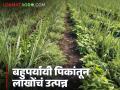 Alternative Crop Farming : शेतात फणस, लिंबू अन् आंबा, धुऱ्यावर बहरला शेवगा! बहुपर्यायी पिकांतून लाखोंचं उत्पन्न  - Marathi News | Latest news Jackfruit, lemon and mango in the fields, Shevga blossoms on the slopes! Income worth lakhs from alternative crops | Latest agriculture News at Lokmat.com