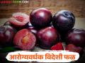 मधुमेहावर नियंत्रण आणि हृदय सुदृढ ठेवण्यासाठी बाजारात आलंय 'हे' विदेशी फळ - Marathi News | This exotic fruit has been launched in the market to control diabetes and keep the heart healthy | Latest agriculture News at Lokmat.com