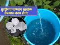 तुरटी फिरवलेल्या पाण्यानं आंघोळ केल्यास मिळतात एकापेक्षा एक फायदे, आयुष्यभर विसरु नये असा उपाय - Marathi News | benefits of bathing with alum water beneficial for skin and body know surprising facts | Latest sakhi News at Lokmat.com