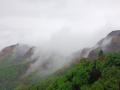 Kolhapur: प्रथमच मे महिन्यात आंबा घाट हरवला धुक्यात, पर्यटकांची गर्दी - Marathi News | The Mango Ghat connecting Ratnagiri Kolhapur was covered in fog for the first time in May | Latest kolhapur News at Lokmat.com