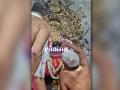 Kolhapur: अंबाबाई मूर्तीबाबत तज्ज्ञांचा अहवाल आज होणार सादर - Marathi News | Expert report on Ambabai idol to be submitted today | Latest kolhapur News at Lokmat.com