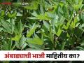 Ambadichi Bhaji : वर्ध्याच्या शेतकऱ्याची सेंद्रिय अंबाडीची शेती, या भाजीला ग्राहकांची मोठी मागणी  - Marathi News | Latest News Wardha farmer's organic ambadi bhaji farming, high demand from customers | Latest agriculture News at Lokmat.com