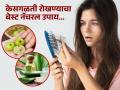 रोज खूप केस गळतात? आवळा आणि कोरफडीचा 'असा' करा उपयोग, केस गळणंच होईल बंद - Marathi News | How to use amla and aloe-vera together to stop hair fall | Latest sakhi News at Lokmat.com