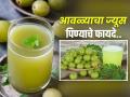 आवळ्याचा ज्यूस प्या, तुमच्या आरोग्याच्या अनेक तक्रारी होतील कमी! कायम तरुणही दिसाल.. - Marathi News | Promising Benefits of Drinking Amla Juice daily | Latest sakhi News at Lokmat.com