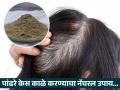 केमिकल डाय न वापरता पांढरे केस काळे करण्याचा नॅचरल उपाय, केस गळतीही थांबेल आणि वाढही होईल - Marathi News | How to use amla powder to make white hair black naturally | Latest sakhi News at Lokmat.com