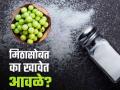 नेहमी मिठासोबतच खावेत आवळे, डॉक्टरांनी सांगितलं यामागचं कारण! - Marathi News | Doctor said Amla must be consumed with salt, know the reason | Latest health News at Lokmat.com
