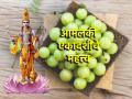 Amalaki Ekadashi 2024 :२० मार्च आमलकी एकादशी; आवळ्याच्या झाडाचे पूजन त्या दिवशी का करतात? वाचा! - Marathi News | Amalaki Ekadashi 2024 : 20 March Amalaki Ekadashi; Why is Amla tree worshiped on that day? Read on! | Latest bhakti News at Lokmat.com