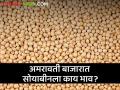Soyabean Bajarbhav : अमरावती बाजारात सोयाबीनला हमीभाव मिळाला का? वाचा आजचे बाजारभाव  - Marathi News | Latest News Todays Soyabean Market price in amravati market yard check here | Latest agriculture News at Lokmat.com